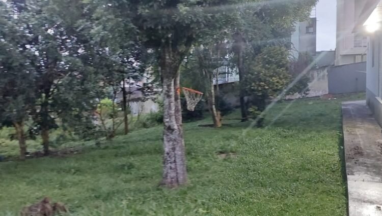 Imagem do WhatsApp de 2025-01-27 à(s) 19.33.55_57209f1e