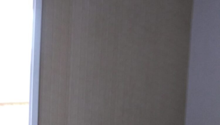 IMG-20210503-WA0018